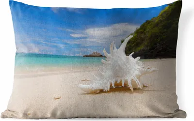 Produktbild von MuchoWow® Outdoor Kissen - Muscheln - Strand - Tropisch - 60x40 cm - Wetterfest - Lounge Kissen - Zierkissen - Kissen für Innenräume