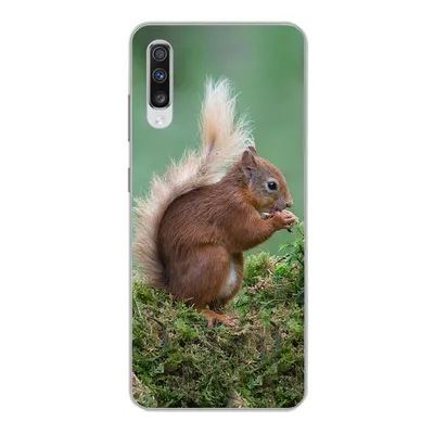 Produktbild von MuchoWow® Handyhülle Schutzhülle Hülle für Samsung Galaxy A70 Eichhörnchen - Wald - Moos Silikon Softcase Handy Hülle - Schutzhaube
