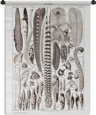 Produktbild von MuchoWow® Wandteppich Wandbehang Vogel - Federn - Tiere 120x160 cm Tapisserie Dekoration Wandtuch - Wohnzimmer - Moderne