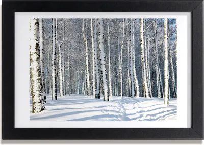 Produktbild von Bild 30x20 MDF-Rahmen, Wandkunst Wald im Winter