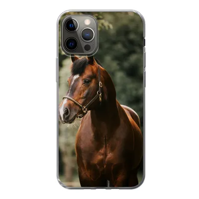 Produktbild von MuchoWow® Handyhülle Schutzhülle Hülle für iPhone 12 Pro Pferd - Äste - Porträt Silikon Softcase Handy Hülle - Abdeckung
