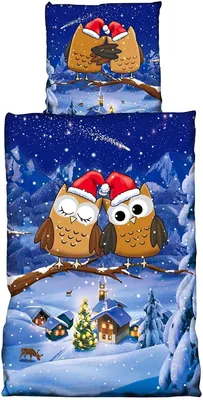 Produktbild von Winter Fleece Bettwäsche 135x200 Eulen Flausch Thermofleece Bettbezug Weinachten 2 tlg