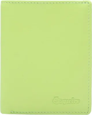 Produktbild von Esquire Leder Geldbörse Viktoria 62 Wallet Lime hellgrün