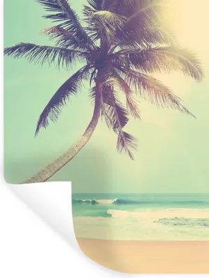 Produktbild von MuchoWow® Wandtattoo Wandsticker Wandaufkleber Retro - Palme - Sonne - Sommer 120x160 cm Selbstklebend und Repositionierbar - Wierderverwendbar - Selbstklebend