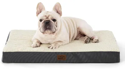 Image de Lit orthopédique pour chien, 76x51x8 cm, gris/beige, lavable, pour petits chiens