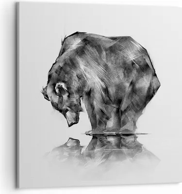 Produktbild von Bild auf Leinwand - Leinwandbild - Bär Tier - 60x60cm - Wand Bild - Wanddeko - Wandbilder - Leinwanddruck - Bilder - Kunstdruck - Wanddekoration - Leinwand bilder - Wandkunst - AC60x60-3921