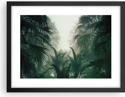 Produktbild von Gerahmtes Poster - Schwarzer Rahmen - Dschungel Blätter Palmen - 40x30 cm - Wand Bild - Wanddeko - Wandbilder - Kunstposter - Wandposter - Bilderrahmen - Bilder - Kunstdruck - P2BAA40x30-4504