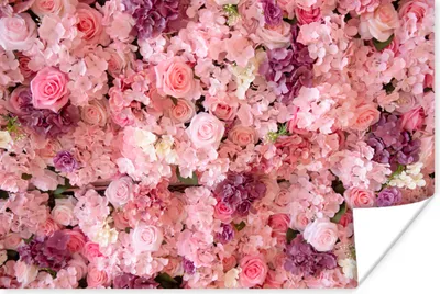 Produktbild von MuchoWow® Poster Blumen - Rosa - Rosen 30x20 cm - Plakate - Print
