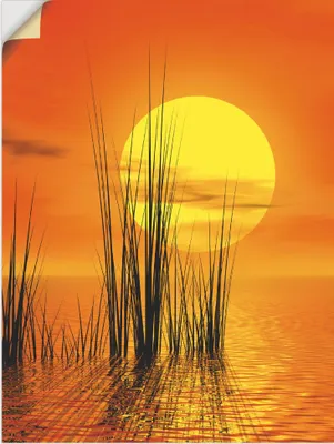 Produktbild von ARTland Wandbild, selbstklebend Sonnenuntergang mit Schilf Größe: 60x80 cm