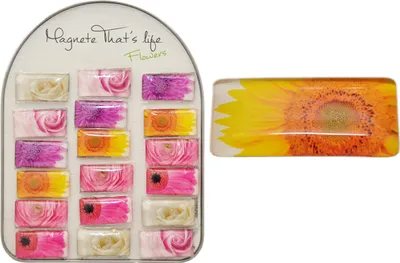 Produktbild von 18 Stück Magnete Flowers/Blumen Glasmagnete für den Kühlschrank XL Set