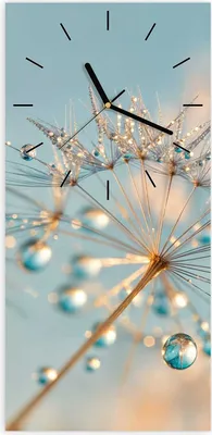 Produktbild von Wanduhr aus Glas mit Motiv Pusteblume Wassertropfen- 30 x 60 cm - inkl. Aufhängesystem