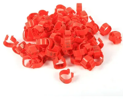 100 Geflügelbeinringe 16 mm nummeriert 001–100, Kunststoff, rot