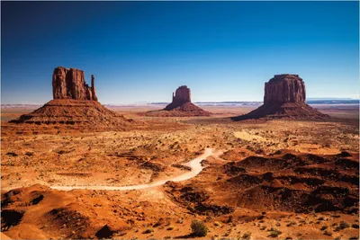 Produktbild von Wallario Poster - Monument Valley unter blauem Himmel, Kunstdruck Größe: 100 x 150 cm