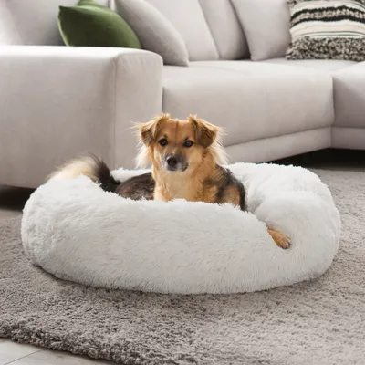 A dog is resting in a fluffy white dog bed on a gray rug in front of a sectional sofa.