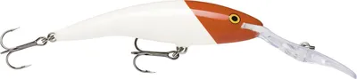 Zdjęcie produktu dla Rapala TDD09, 13 g, 9 cm, 6 m