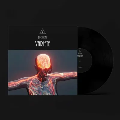 Productafbeelding van Sieć Indry LP, Vinylplaat