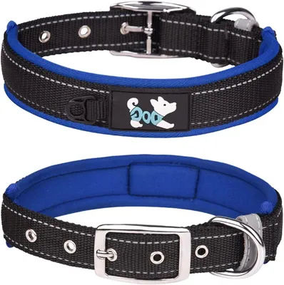Hunde-Halsband, Hauptbild