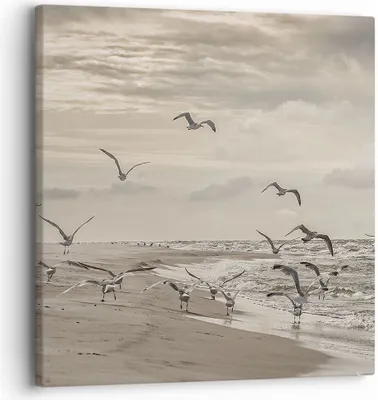 Produktbild von Bild auf Leinwand - Leinwandbild - Einteilig - Möwen Küste Boho - 30x30cm - Wand Bild - Wanddeko - Wandbilder - Leinwanddruck - Bilder - Wanddekoration - Leinwand bilder - Wandbild - AC30x30-4723