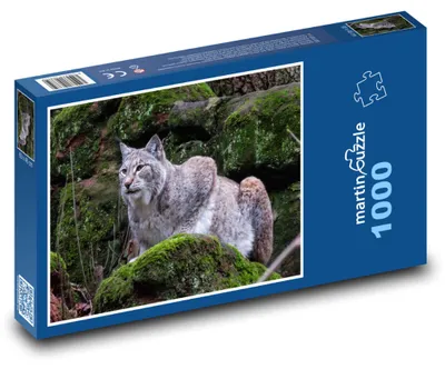 Obrázok produktu pre Puzzle 1000 Rys číhajúci na korisť - martinpuzzle