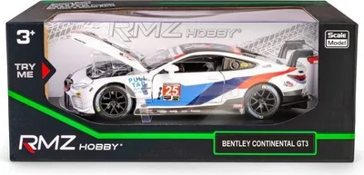 Image de Modèle RMZ Hobby 1:32 BMW M8 GTE2018 H-123 81239