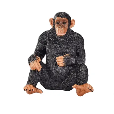 Image de Mojo Wildlife Chimpansee - 387265