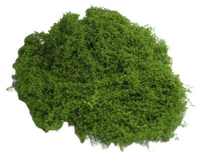 Produktbild von 30/100 g künstliches grünes Moos für DIY-Bastelarbeiten, Zimmerpflanzen, Feengärten, Tischdekorationen, Aquarien, Mikrolandschaften, dekoratives Kunstmoos