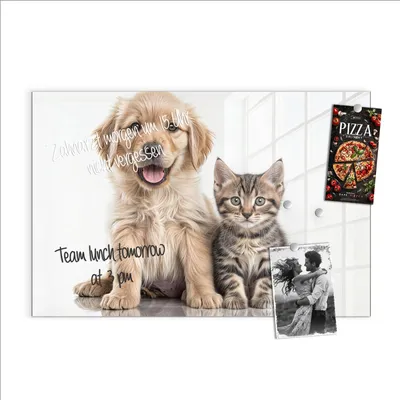 Produktbild von Magnettafel 90x60cm Pinnwand Whiteboard beschreibbar - Hund und Katze