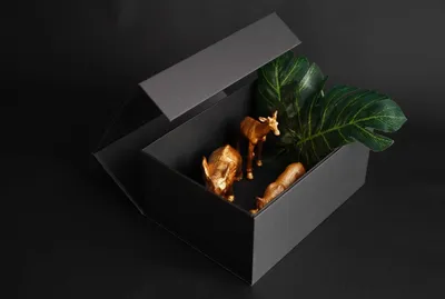Produktbild von Geschenkbox mit Magnet-Verschluss in schwarz 25,2x19,2x11,3cm