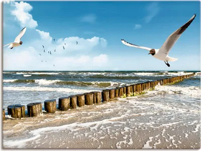Produktbild von ARTland Leinwandbild Ostsee Größe: 80x60 cm
