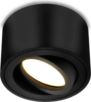A black ceiling light fixture with a spotlight that can be angled.