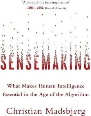 Obrázok produktu pre Sensemaking