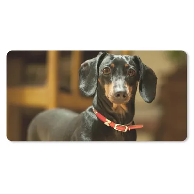 Produktbild von MuchoWow® Schreibtischunterlage Porträt eines schwarzen Dackels 80x40 cm - XXL Mauspad - Gaming Mauspad