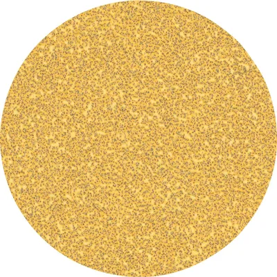 Produktbild von EXPERT C470 Schleifblatt, 125mm, K40, keine Löcher, 50-tlg.
