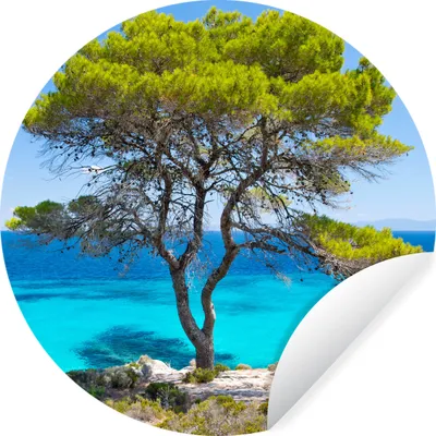 Produktbild von MuchoWow® Runde Wandtattoo - Wandsticker Tapete Aufkleber Baum - Meer - Tropisch - Sommer Ø 30 cm Selbstklebend und Repositionierbar - Wandaufkleber - Kreis - Wandbild - Fototapete - Selbstklebend - Dekoration - Wandschmuck - Schlafzimmer