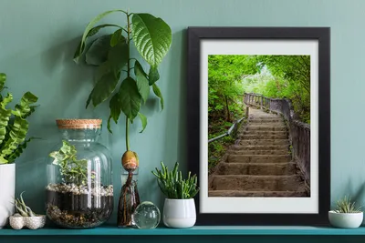 Produktbild von Bild 20x30 MDF-Rahmen, Wandkunst Treppen im Wald