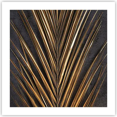 Produktbild von Poster - Poster ohne Rahmen - Blatt golden schwarz - 50x50 cm - Wand Bild - Wanddeko - Wandbilder - Kunstposter - Wandposter - Bilder - Kunstdruck - Wanddekoration - Wandbild - P2XAC50x50-5091