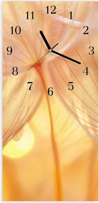 Produktbild von Wanduhr aus Glas mit Motiv Dandelion Makroaufnahme- 30 x 60 cm - inkl. Aufhängesystem
