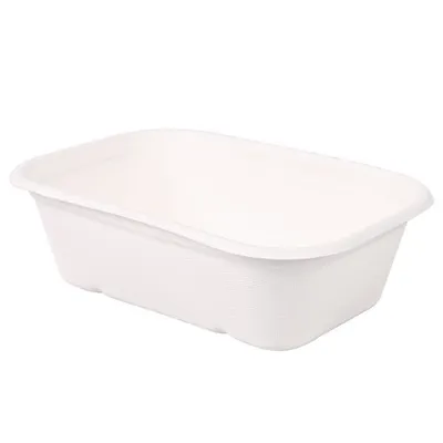 Image de 10x NATUREStar 41143Schalen Casa rechteckig 650 ml 175 x 120 x 50 mm Zuckerrohr weiß