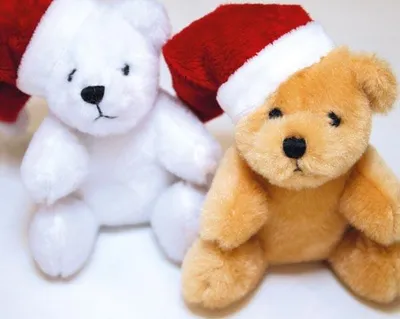 Produktbild von Plüschteddy XL 12x10x8cm mit Santamütze