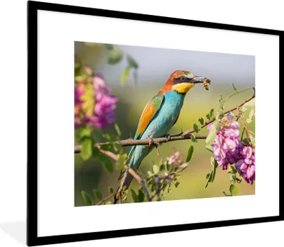Produktbild von MuchoWow® Gerahmtes Poster Vogel - Bienenfresser - Blumen 80x60 cm - Poster mit Schwarzem Bilderrahmen Wandposter Rahmen Foto Bilder - Schlafzimmer-Dekorationen - Fotoposter