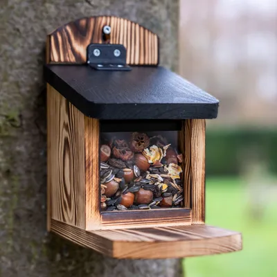 Produktbild von CJ Wildlife Eichhörnchen Futterhaus - Victoria Futterstation - Holz (FSC 100%)/Kunststoff - braun - durchsichtiges Fenster - einzigartiges Finish