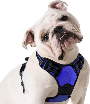 Produktbild von Famanu Hundegeschirr – Anti-Zieh-Geschirr – Verstellbar – Schwarz