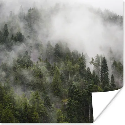 Produktbild von MuchoWow® Poster Wald - Nebel - Berg 75x75 cm - Wand Dekoration