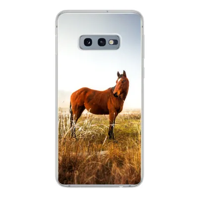 Produktbild von MuchoWow® Handyhülle Schutzhülle Hülle für Samsung Galaxy S10e Pferd - Weide - Australien Silikon Softcase Handy Hülle - Handy