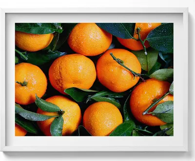 Produktbild von Orangefarbene Früchte– Wandbild mit Rahmen – Gerahmtes Bild  – Wanddekoration – 80x60 cm –  Weiß Rahmen