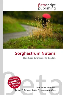 Produktbild von Sorghastrum Nutans