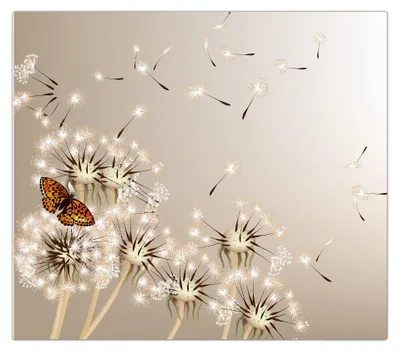 Produktbild von Spritzschutz Herdabdeckplatte Schneidebrett aus Glas Löwenzahn und Schmetterling 1-Teilig (60x52cm)
