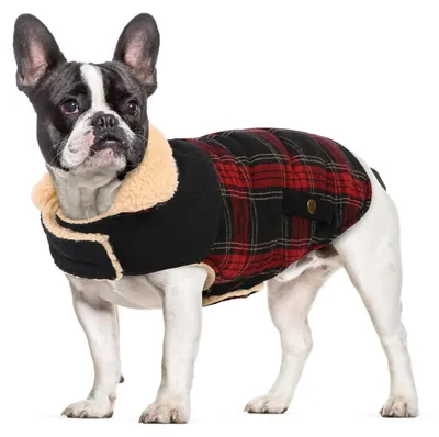 Produktbild von Warmer Hundemantel Fleece mit Geschirrloch Rot Größe L