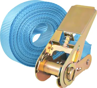 Produktbild von vidaXL Ratschen-Spanngurte 10 Stk. 0,8 Tonnen 4m×25mm Blau