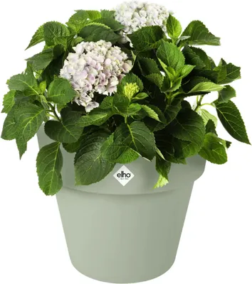 Produktbild von Pflanztopf Elho Basics Kunststoff Ø 39 cm H 33 cm grün